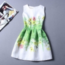 Summer-Autuml Print Dress