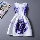 Summer-Autuml Print Dress