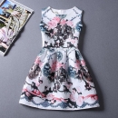 Summer-Autuml Print Dress