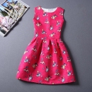 Summer-Autuml Print Dress