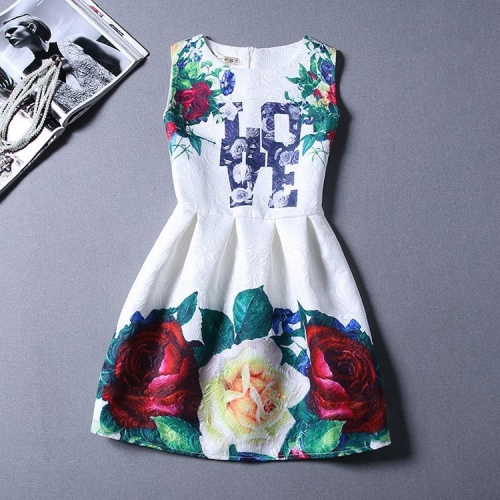 Summer-Autuml Print Dress