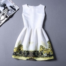 Summer-Autuml Print Dress